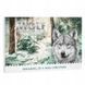 Адвент-календар для собак, суміш смаків Wolf of Wilderness