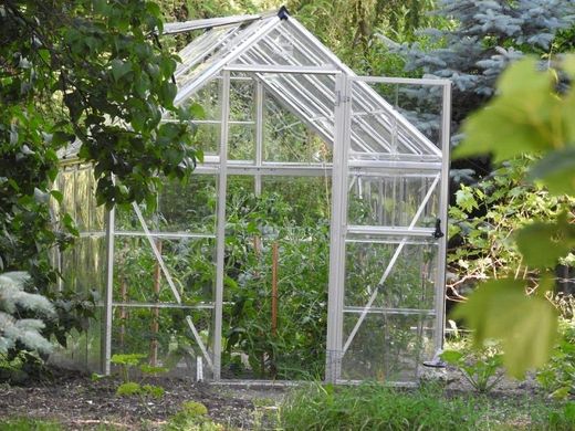 Садовая теплица из поликарбоната Silver Mythos 1,85 x 3,1 м Palram-Canopia, Матовый