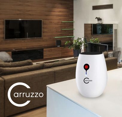 Осушитель воздуха Carruzzo CSQ1301