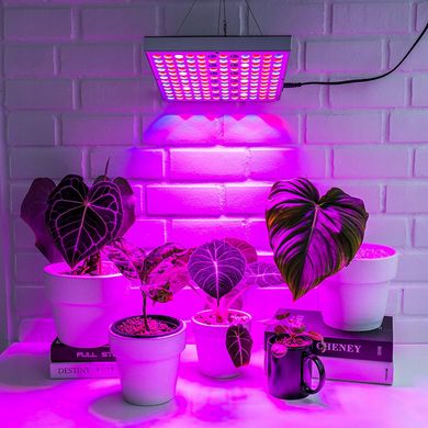 Підвісний світильник GROW для вирощування рослин Jumi 36 Вт