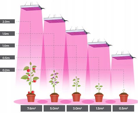 Подвесной светильник GROW для выращивания растений Jumi 36 Вт