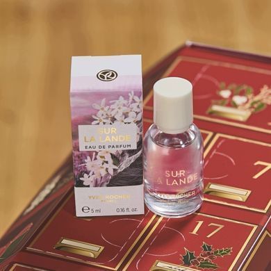Адвент-календарь Yves Rocher &mdash; 24 дня красоты и ухода