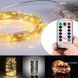 Новорічна гірлянда 50 LED, Біле холодне світло + пульт - 2