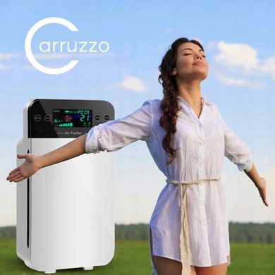 Очиститель воздуха Carruzzo Q34FA