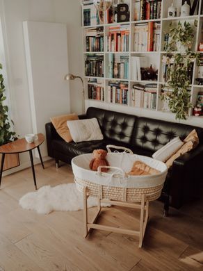 Люлька-корзина Моисея Ahojbaby с матрасом
