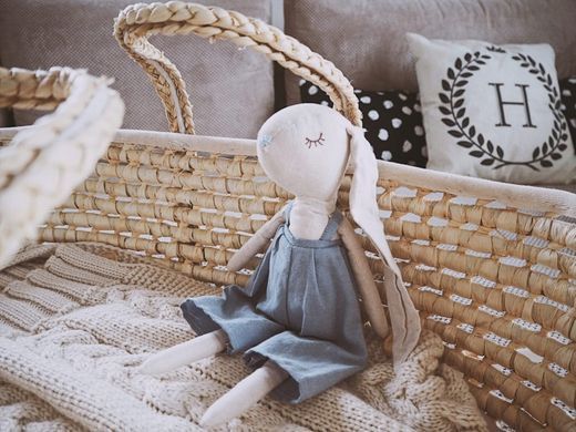 Люлька-корзина Моисея Ahojbaby с матрасом