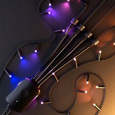 Набор светодиодов Strings Twinkly Plus 1000 &mdash; 1 контроллер + 4 струны 250 RGBW