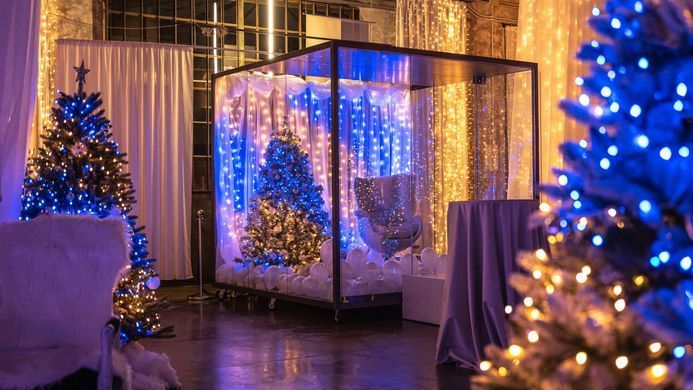 Twinkly Plus Dots 250 LED RGBW 12,5m IP65